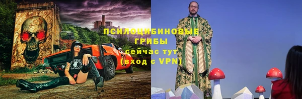 ГАЛЛЮЦИНОГЕННЫЕ ГРИБЫ Алексеевка